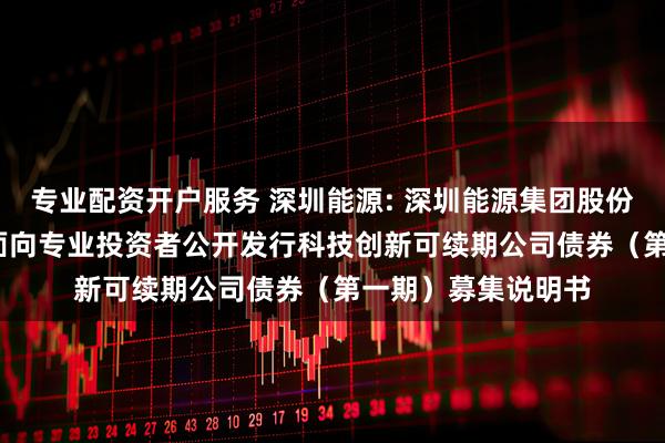 专业配资开户服务 深圳能源: 深圳能源集团股份有限公司2025年面向专业投资者公开发行科技创新可续期公司债券（第一期）募集说明书