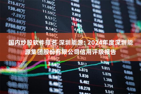 国内炒股软件排名 深圳能源: 2024年度深圳能源集团股份有限公司信用评级报告