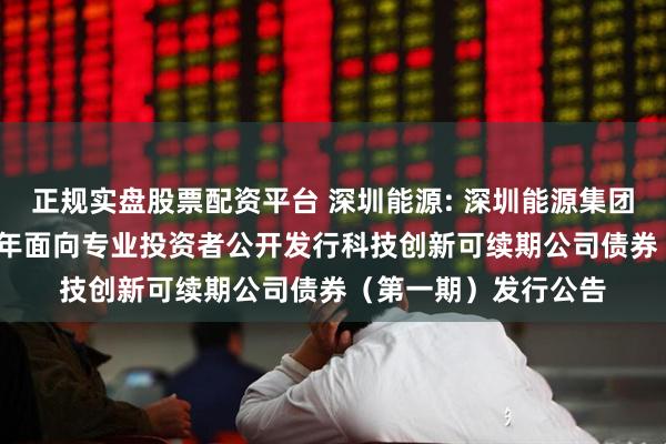 正规实盘股票配资平台 深圳能源: 深圳能源集团股份有限公司2025年面向专业投资者公开发行科技创新可续期公司债券（第一期）发行公告