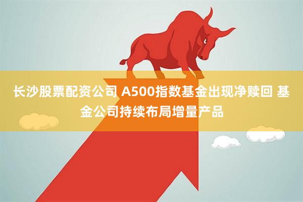 长沙股票配资公司 A500指数基金出现净赎回 基金公司持续布局增量产品